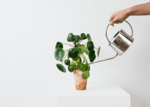 Superannuation Compliance